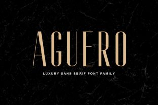 Aguero Family: A Modern Serif for Versatile Design Needs
