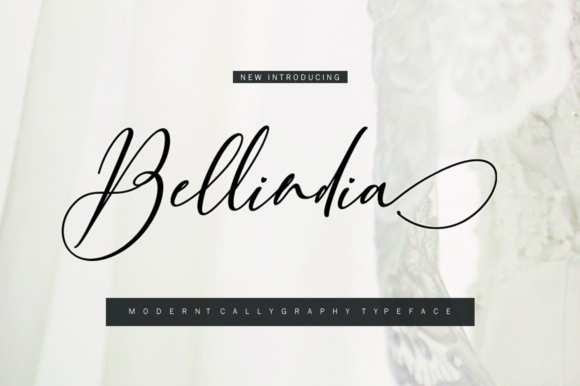 Bellindia and Bellindia Script: Modern Calligraphy Fonts for Creative Projects