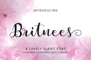 Britnees Script: A Modern Touch for Creative Expression