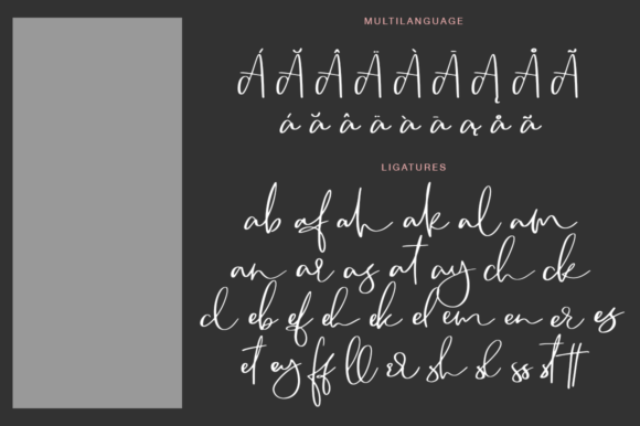Camsay: A Handmade Calligraphy Font for Creative Workflows